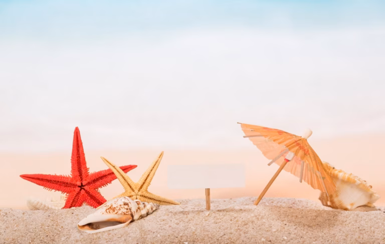 Monclar : Clôture des vacances et préparation pour la rentrée imminente