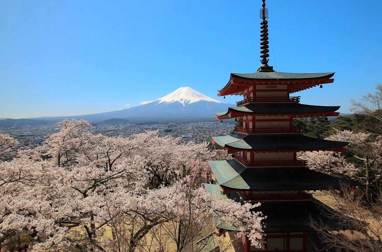Guide complet : comment planifier un voyage au Japon en 2 semaines